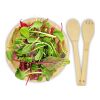 Argulls bamboo salad bowl and tools Standard | Natural | No Branding | not available | not available
