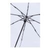 Renee 23” foldable auto open & close umbrella White