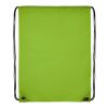 Oriole 5L premium drawstring backpack Standard | Lime | No Branding | not available | not available | not available