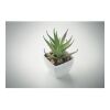 Mini artificial plant white | No Branding | not available | not available | not available