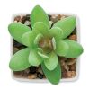 Mini artificial plant white | No Branding | not available | not available | not available