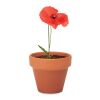 Terracotta pot 'poppy' wood | No Branding | not available | not available | not available