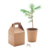 Pine tree set beige | No Branding | not available | not available | not available