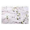 A6 wildflower seed paper sheet white | No Branding | not available | not available