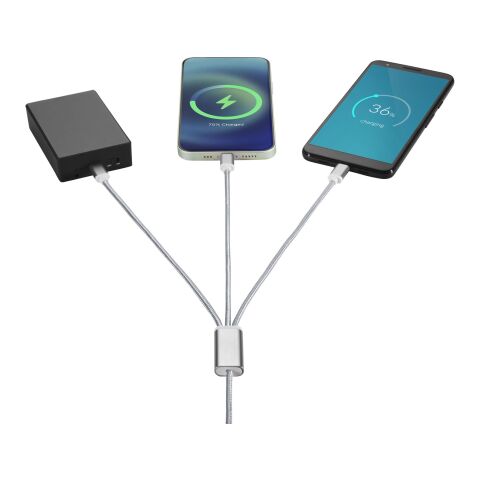 Versatile 5-in-1 charging cable Standard | Silver | No Branding | not available | not available