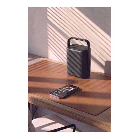 Urban Vitamin Newark RCS 10W speaker with removable battery black