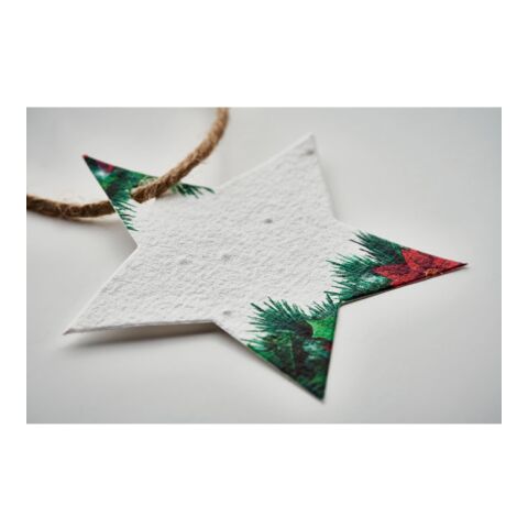 Seed paper Xmas ornament, Star white | No Branding | not available | not available
