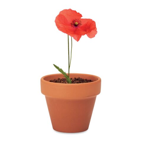 Terracotta pot &#039;poppy&#039; wood | No Branding | not available | not available | not available