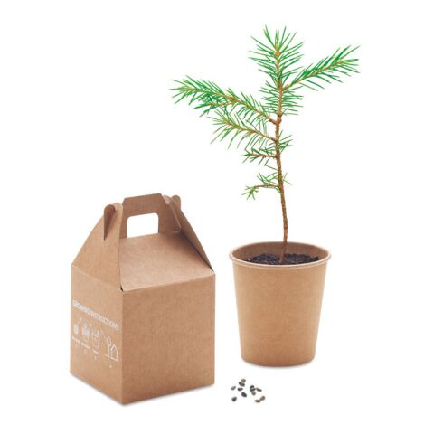 Pine tree set beige | No Branding | not available | not available | not available