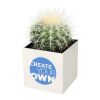 Hey Pots aluminium planted pot - cactus white | No Branding | not available | not available