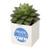 Hey Pots aluminium planted pot - succulent White | Not applicable | No Branding | not available | not available