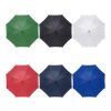 RPET polyester (170T) umbrella Barry red | No Branding | not available | not available