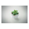 Mini artificial plant white | No Branding | not available | not available | not available