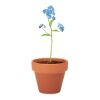 Terracotta pot 'forget me not' wood | No Branding | not available | not available | not available