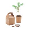 Pine tree set beige | No Branding | not available | not available | not available