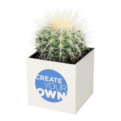 Hey Pots aluminium planted pot - cactus white | No Branding | not available | not available