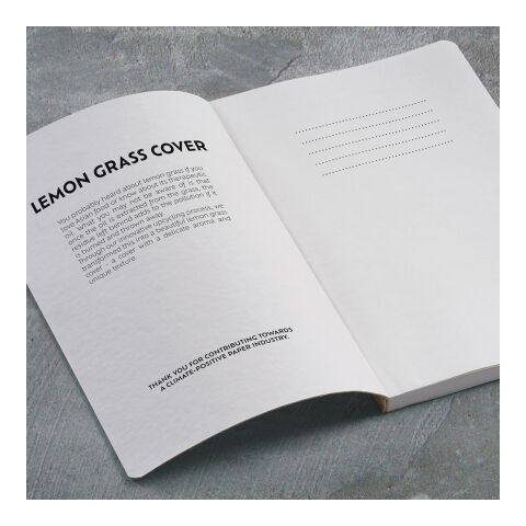 Dostoevsky A5 Notebook Lemongrass. 80gsm recycled 196 pages Light green | No Branding | not available | not available | not available