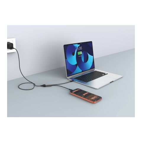 Terra 100W RCS Dual USB C output cable black-grey
