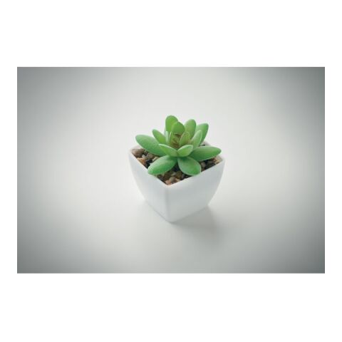 Mini artificial plant white | No Branding | not available | not available | not available