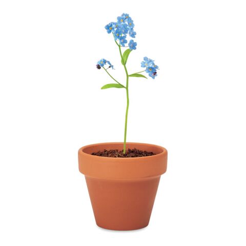 Terracotta pot &#039;forget me not&#039; wood | No Branding | not available | not available | not available