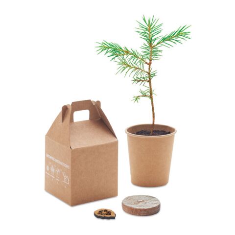 Pine tree set beige | No Branding | not available | not available | not available