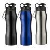 Stainless steel bottle Giovanni silver | No Branding | not available | not available