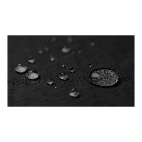 Trailhead recycled lightweight fanny pack 2.5L Standard | Solid black-Grey | Not applicable | No Branding | not available | not available | not available