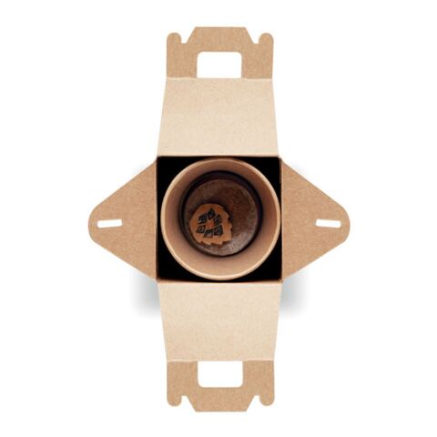 Pine tree set beige | No Branding | not available | not available | not available